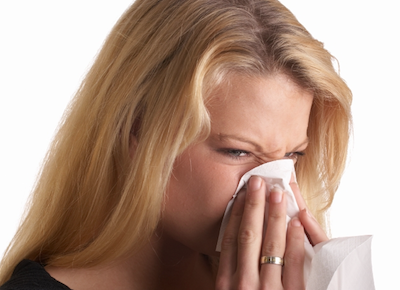 Perennial Nasal Allergy